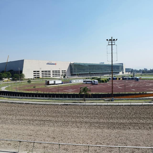 Platea
