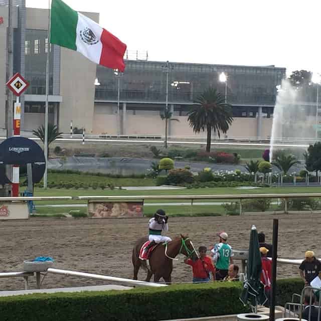 Platea