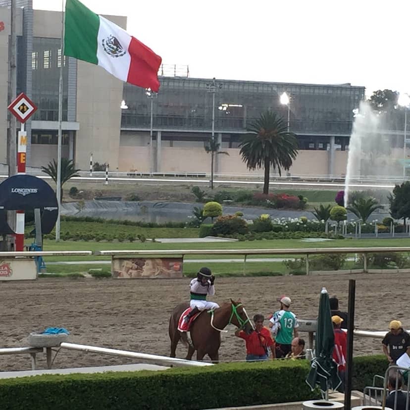 Platea at Hipódromo de Las Américas: iconic fountain at a corporate event or incentive venue.