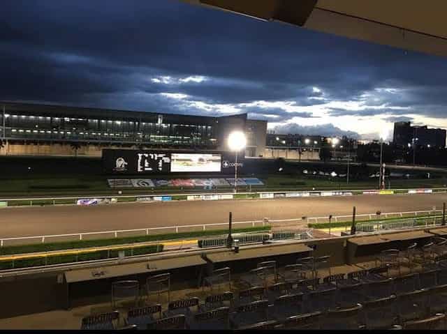 Platea at Hipódromo de Las Américas: stadium venue for corporate hospitality and product launches.