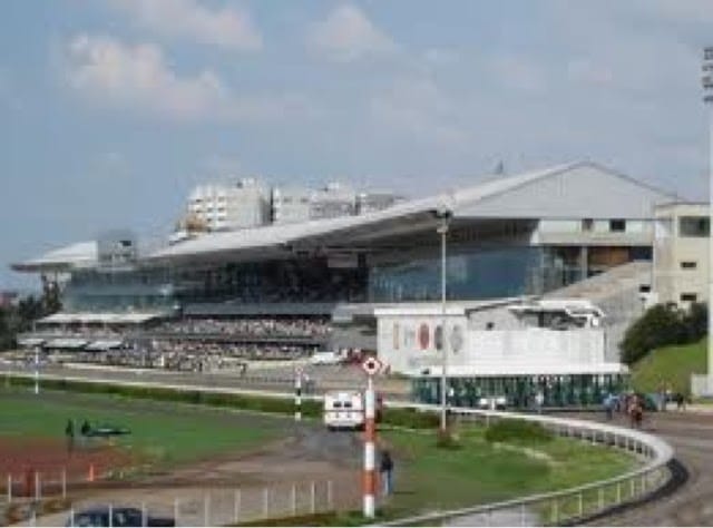 Grada Central racetrack venue featuring multi-level grandstands for outdoor corporate events.