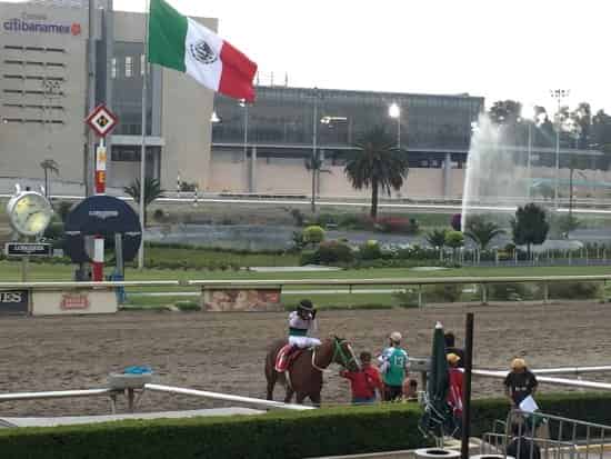 Grada Central