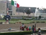Outdoor Terraces