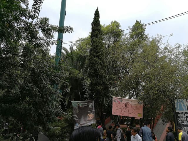 Cluttered signage at Centro Cultural La Pirámide, outdoor event venue, cultural center design.