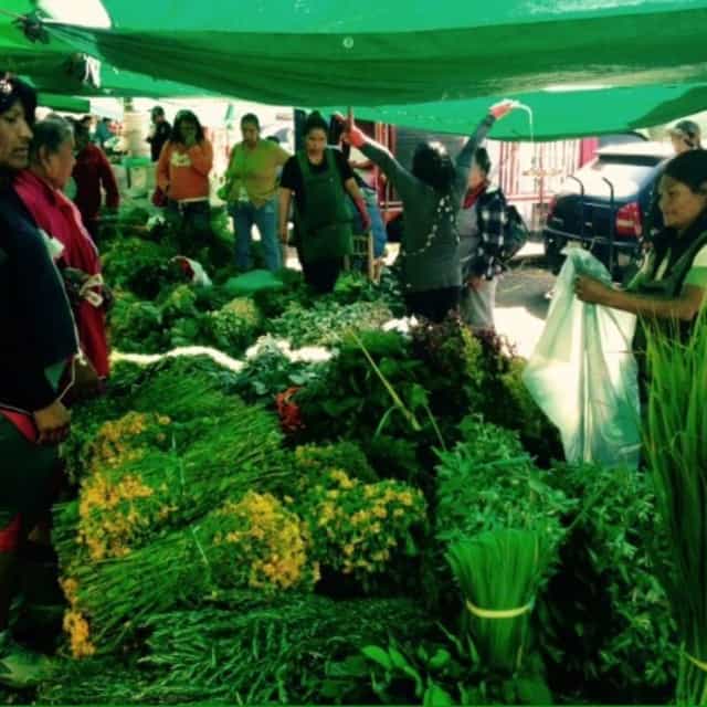 Market vendor stall with sagging canopy at Mercado Jardín Balbuena, event safety risk.