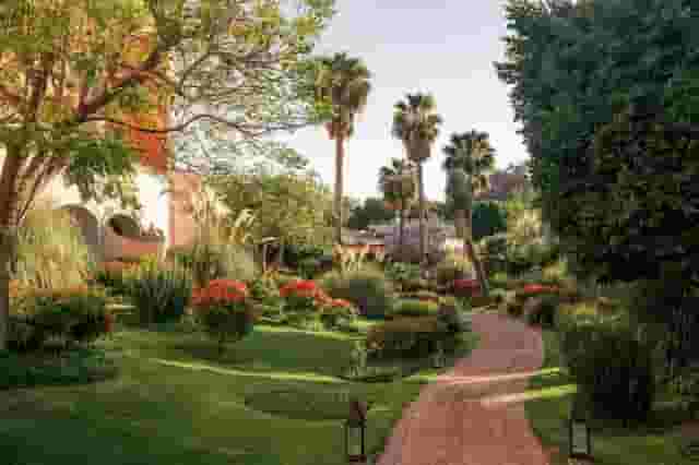 Jardin