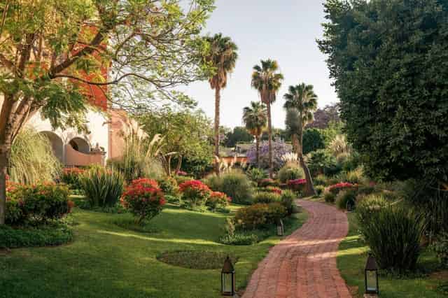 Tree Garden