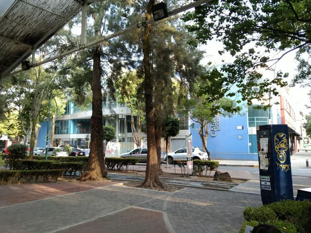 Cultural center