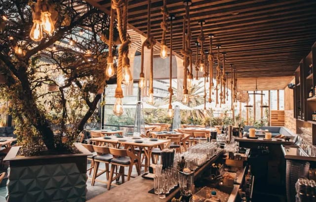 Biophilic rooftop terrace at Eventos Stark for corporate networking and upscale events.