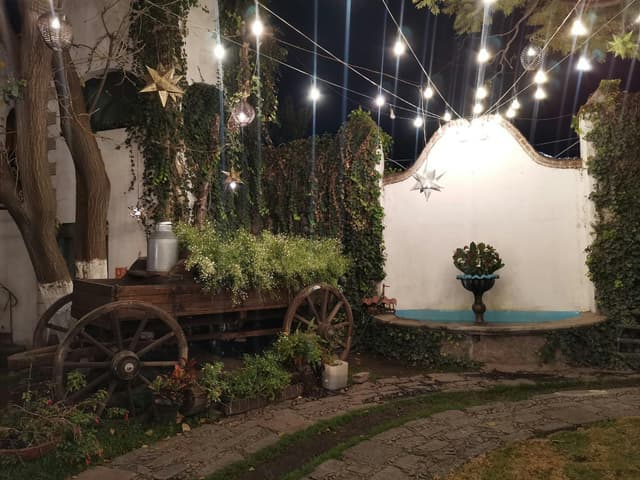 Pista de Baile