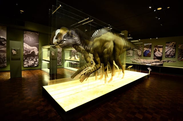 INAH on X: "#PrensaINAH ?? Tras la reciente apertura del Museo Regional de  La Laguna en Torreón, Coahuila, el #INAH estudia un modelo de crecimiento  para sus públicos, así como la ampliación