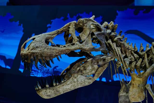 Altepepialcalli Museum centerpiece with backlit display for experiential event staging.