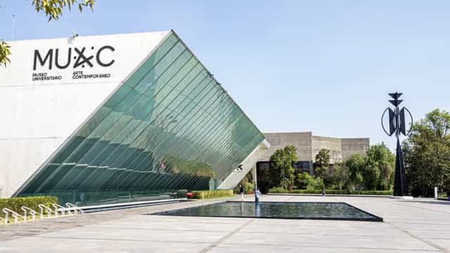 3 Exposiciones temporales en el MUAC