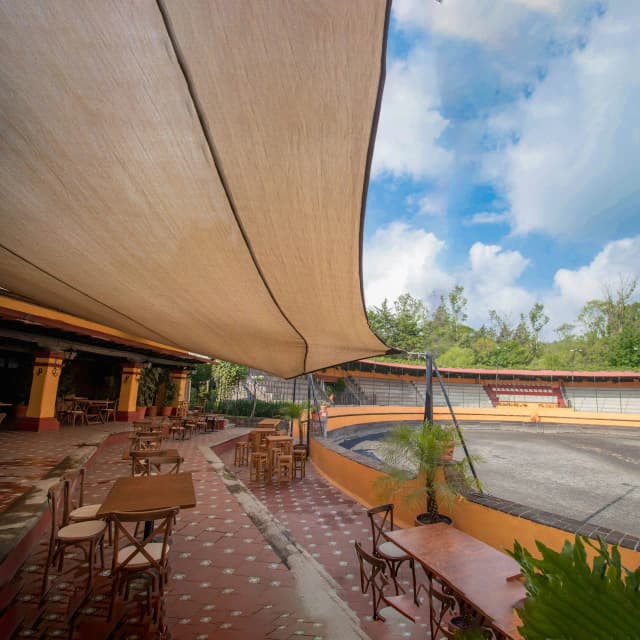 Patio Pirul