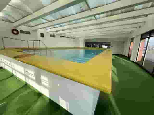 Alcatraces