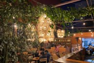 Outdoor Terraces