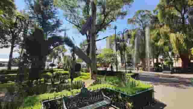 Plaza Central