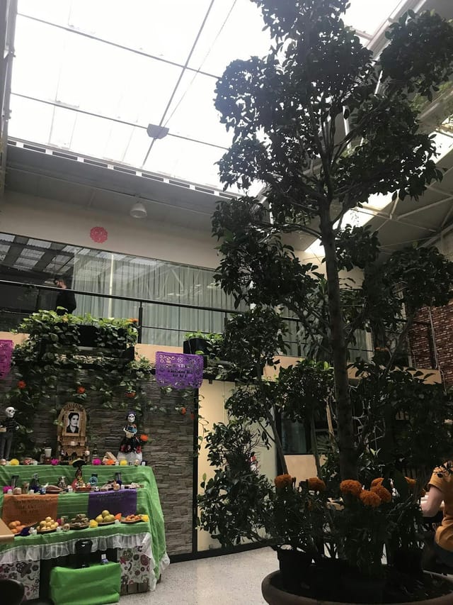 Downtown Treasure Place atrium with industrial greenery for networking events and breakout sessions.