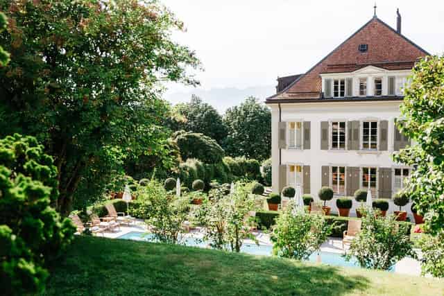 Le Platane