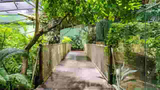 The Garden