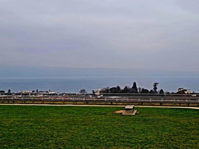 Le Salon