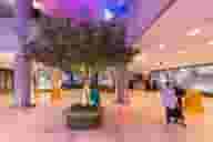 Party Venues