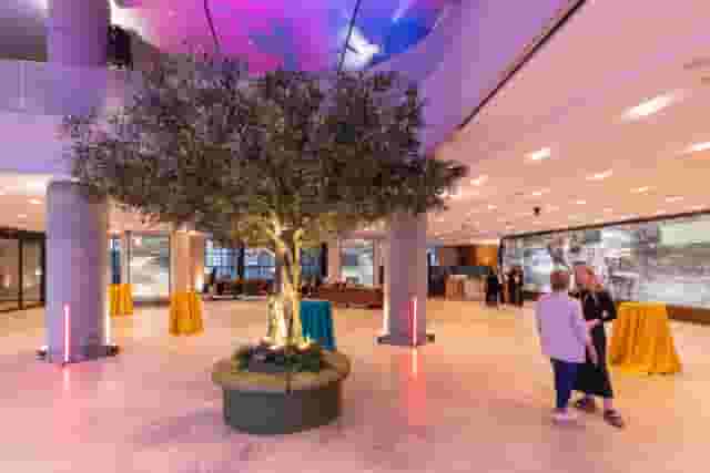 Sainsbury Wing Foyer
