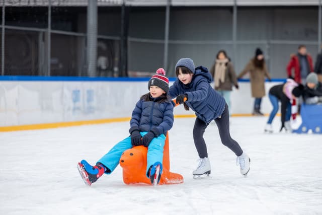 Ice rink