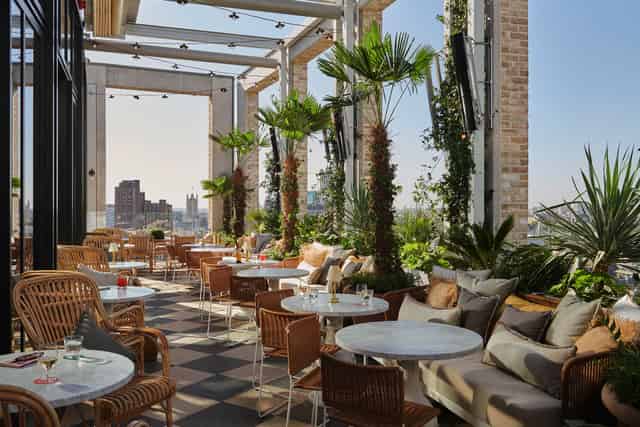 Seabird Rooftop