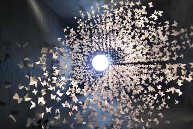Immersive art installation at Museum of Memory and Tolerance for experiential gala and activation.