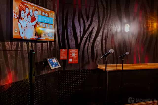 Karaoke and Beer Pong