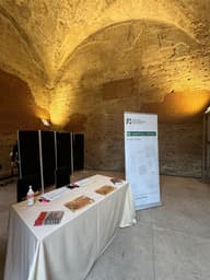 Reception Venues