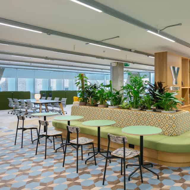 Studio Y by Spacemade