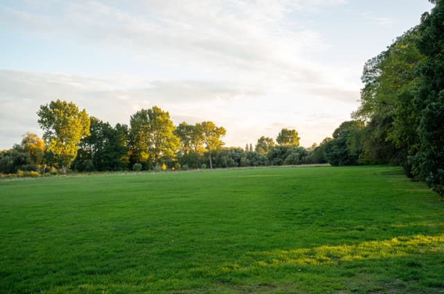 The Clementine, Syon Park