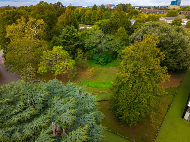 The Clementine, Syon Park