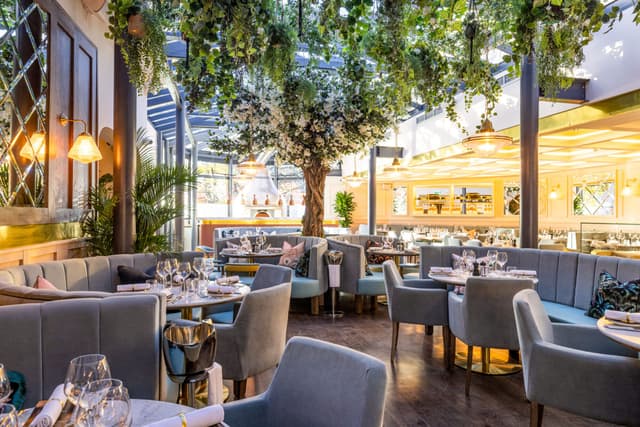 Piccolino Mayfair
