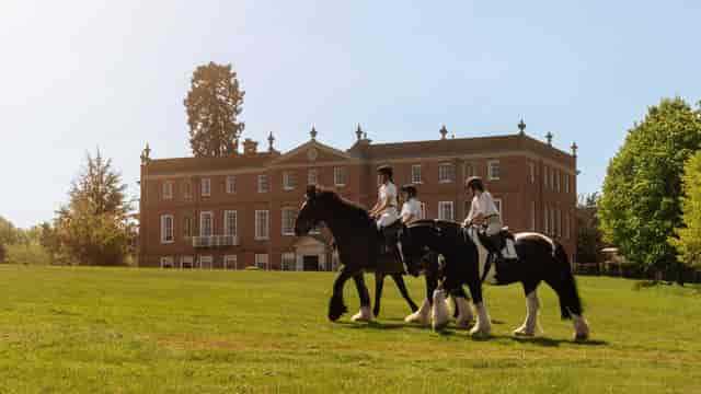 "Charming Four Seasons Hampshire venue with riders for elegant outdoor events"