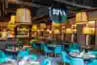 Rooftop Bars