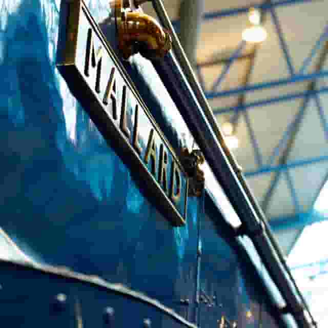 Mallard & Rocket