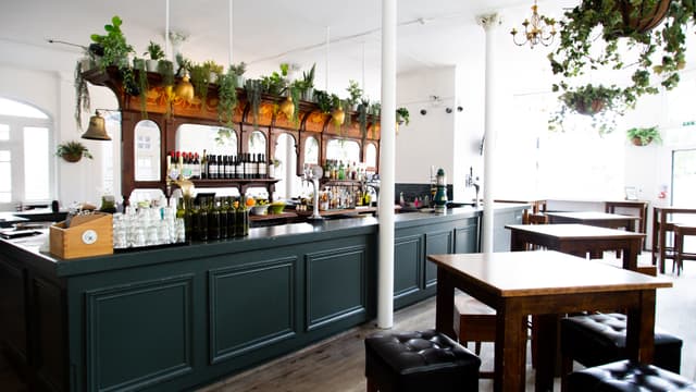 Whole Pub