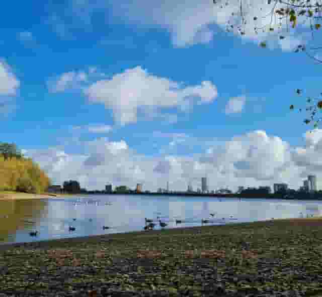 Birmingham Settlement Nature & Wellbeing Centre - Ladywood