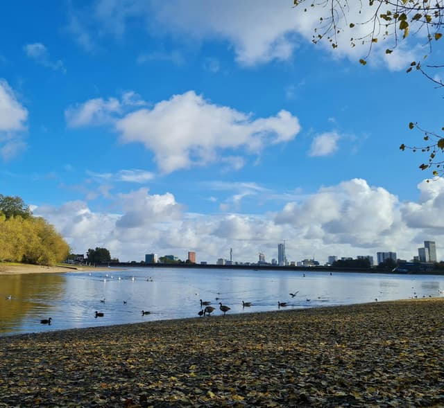 Birmingham Settlement Nature & Wellbeing Centre - Ladywood