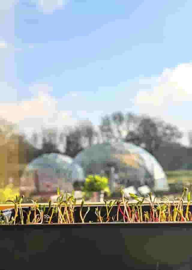 "Sanctuary" & "Retreat" Domes