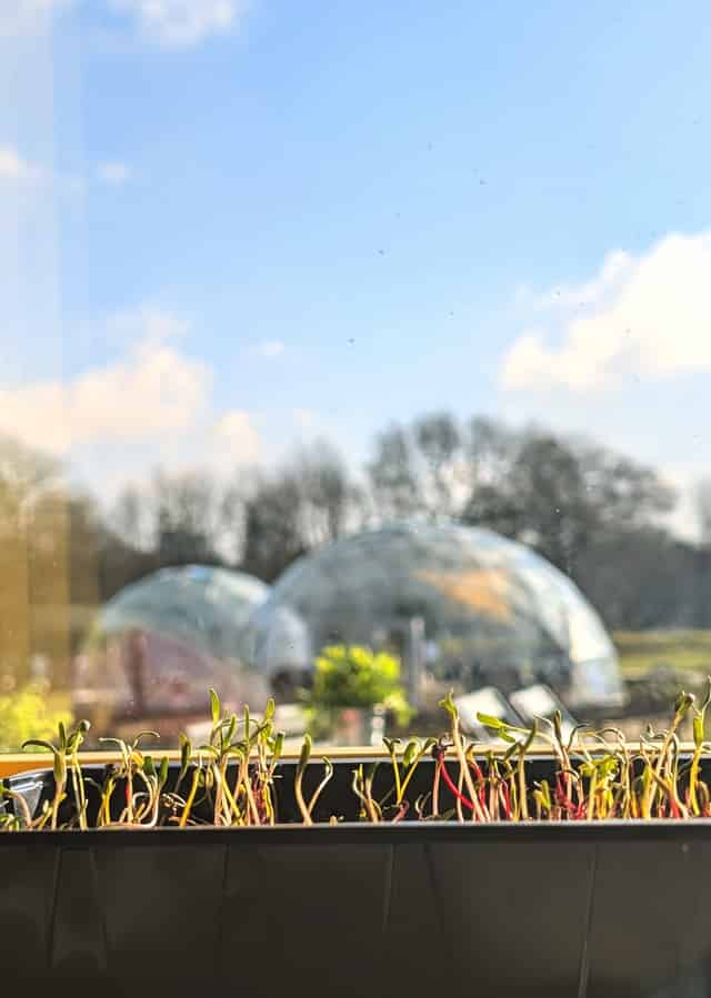 "Sanctuary" & "Retreat" Domes
