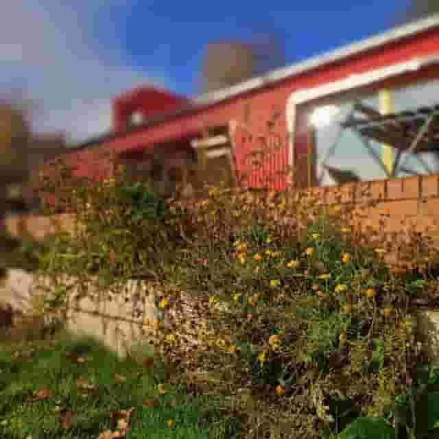 The Red Shed