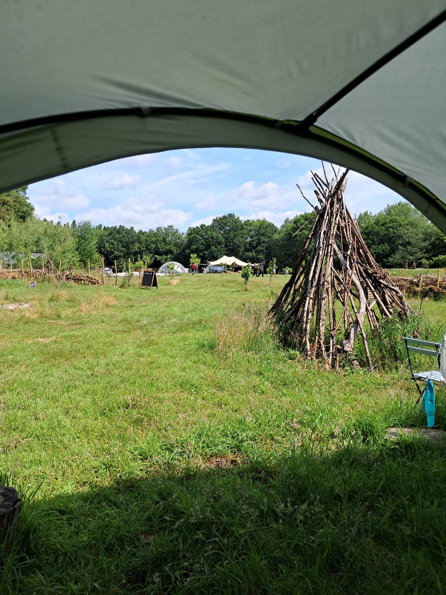 6ce51108-333d-4567-9461-99a9a8d4cc01.jfif