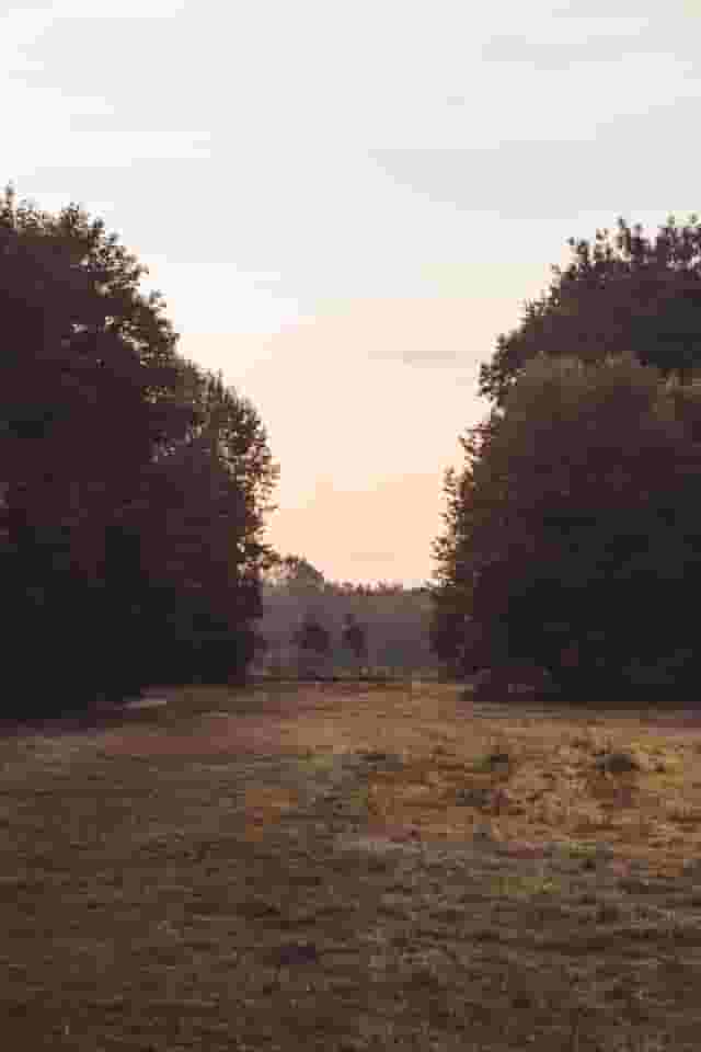Embers Camping Polesden Lacey