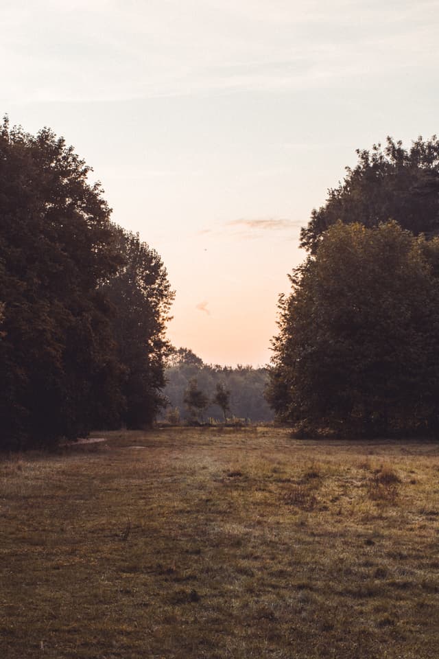 Embers Camping Polesden Lacey