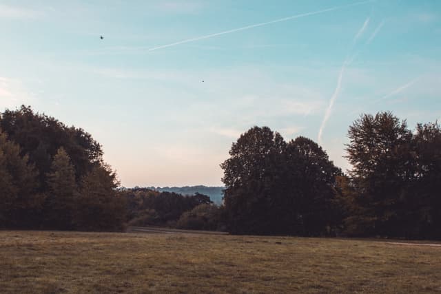 Embers Camping Polesden Lacey