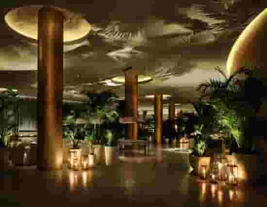 Tropicale